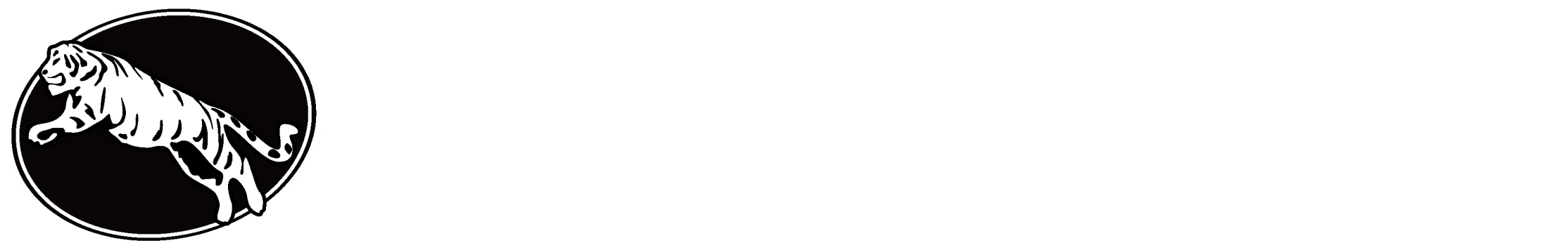 solutionks_logo_white