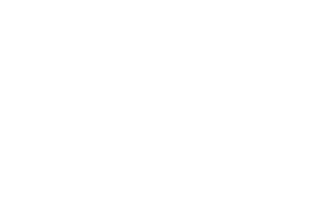 tiger logo_white