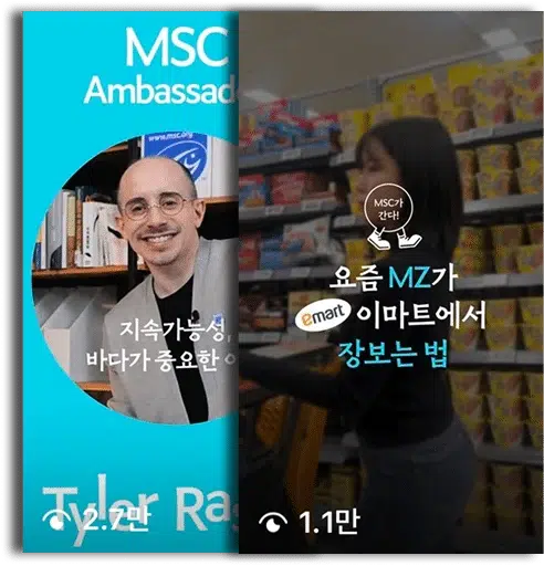 포트폴리오 국제 비영리기관 MSC 브랜드마케팅